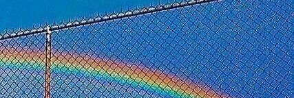 Erica_Ploof's profile banner image