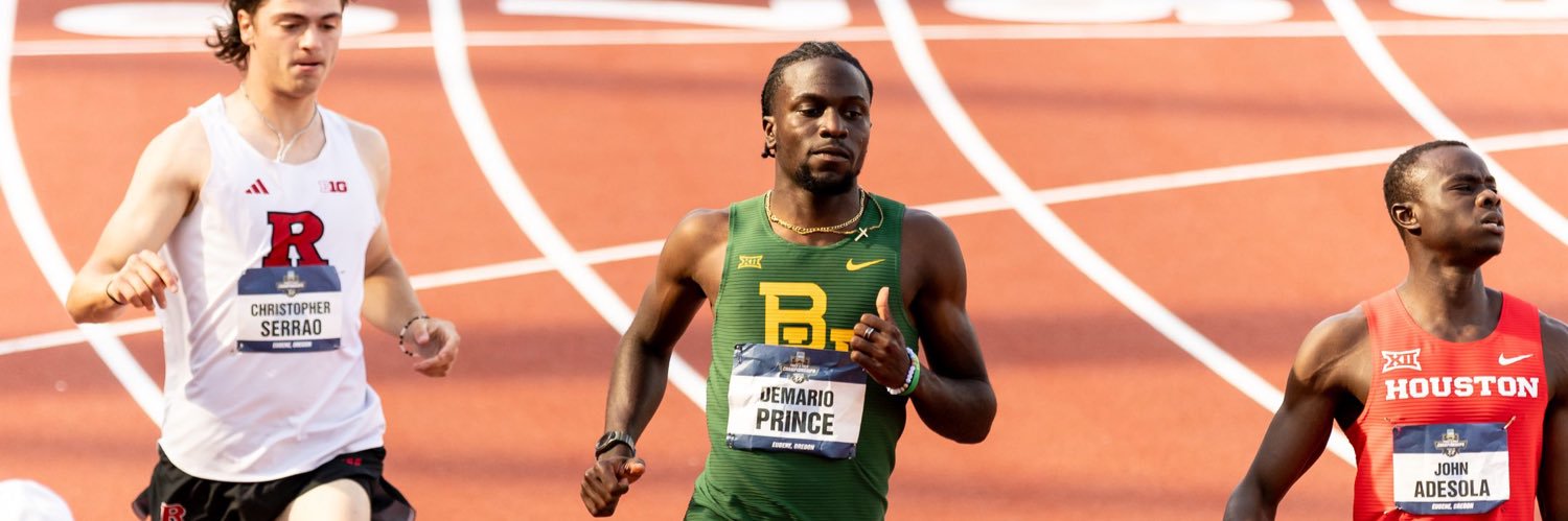 demario.prince banner