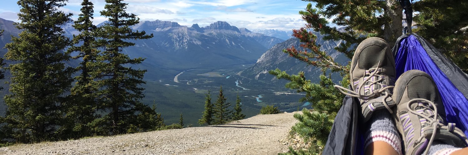 Morgan Dedato banner