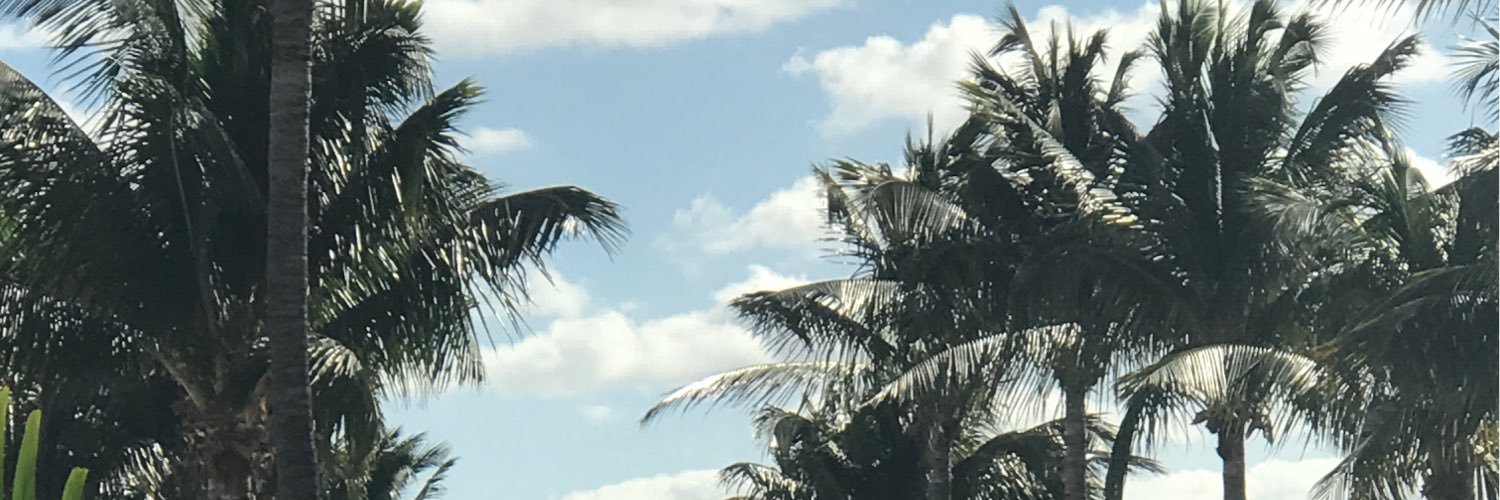 Mikefire17's profile banner image