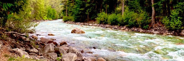 Mary’s Spare Tire 😉 🇨🇦 banner