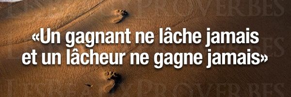 djimwaid Profile Banner