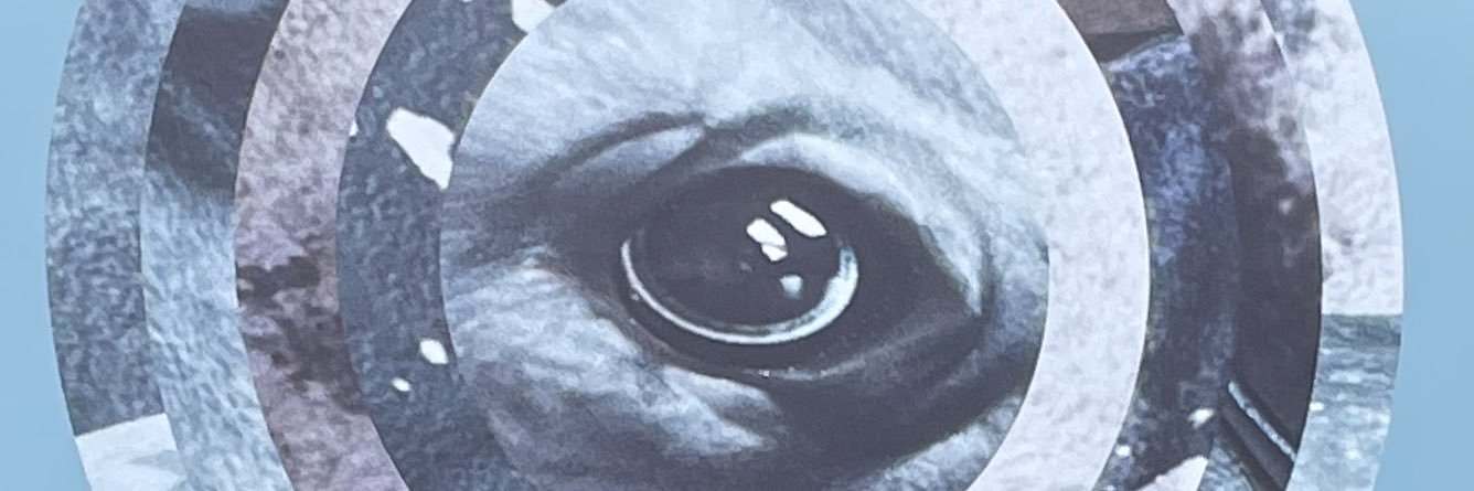 rinkly910's profile banner image