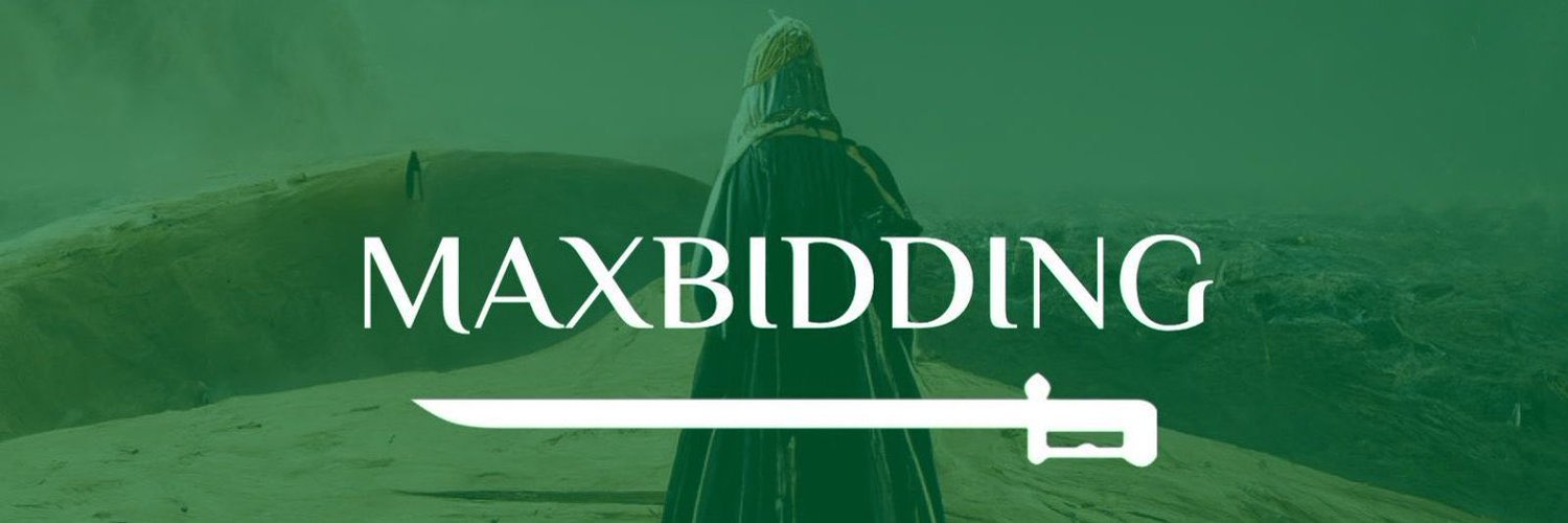 maxbidding01's profile banner image