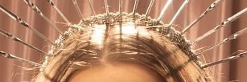 needy is dead. maiamami was born. banner