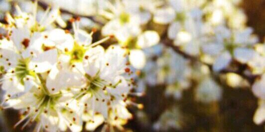 DesireeLado's profile banner image