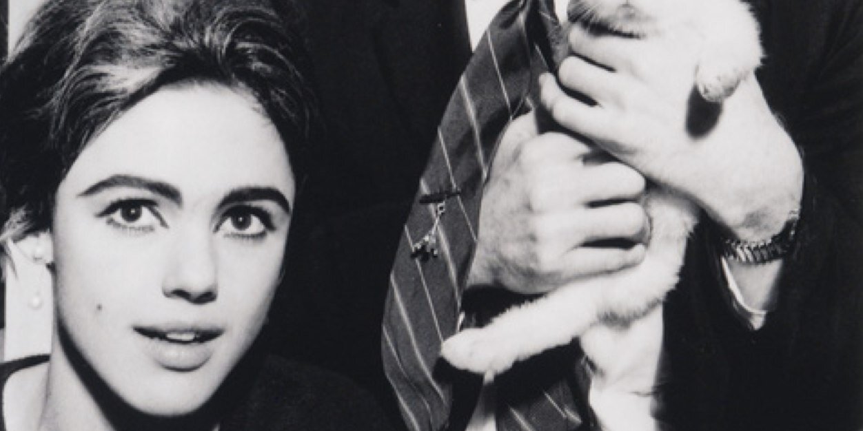 EdieSedgwick's profile banner image
