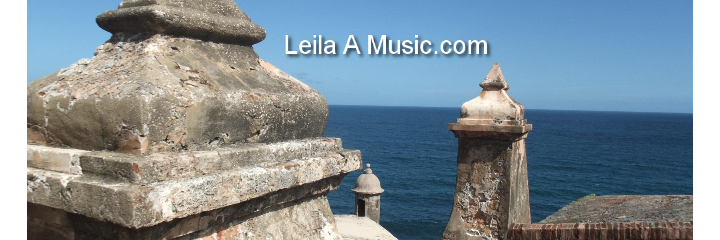 LeilaAMusic's profile banner image