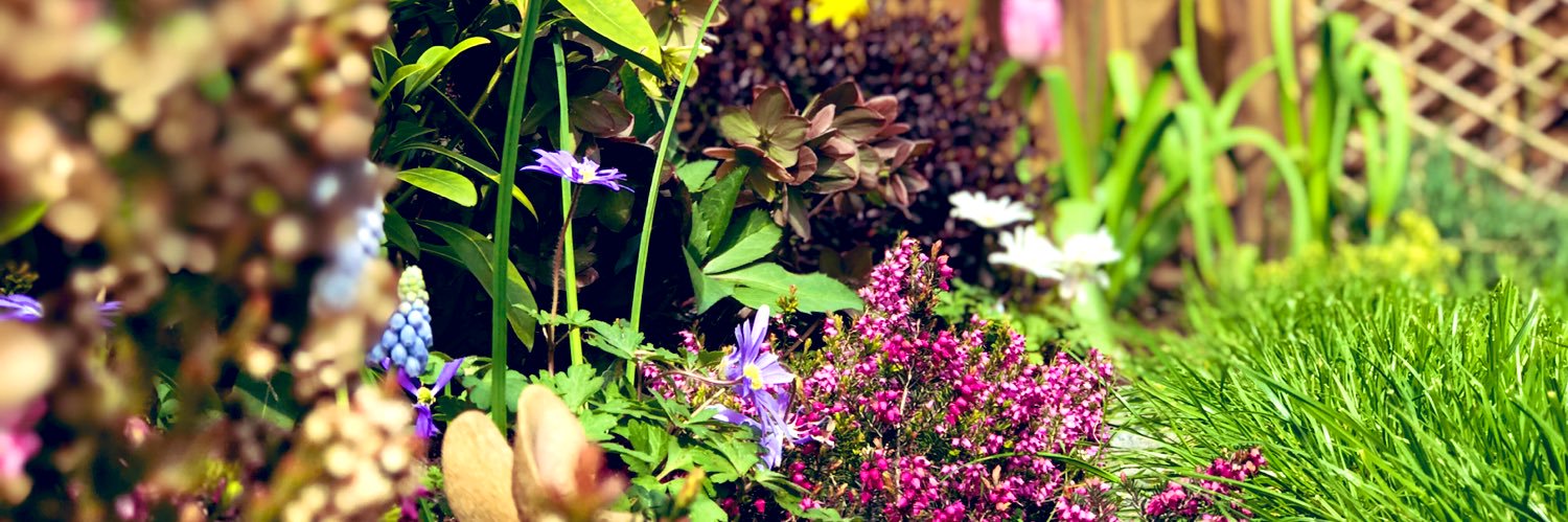 SeanCAtkinson's profile banner image