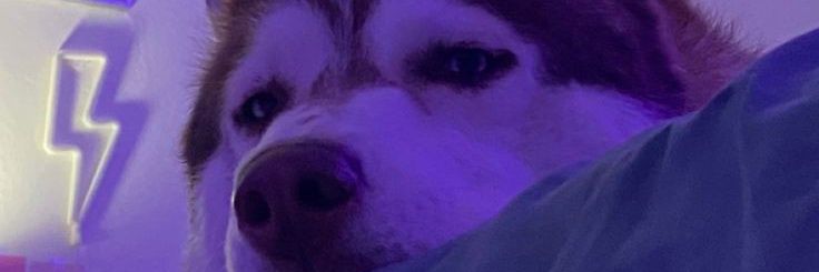 hi.thisis'u banner