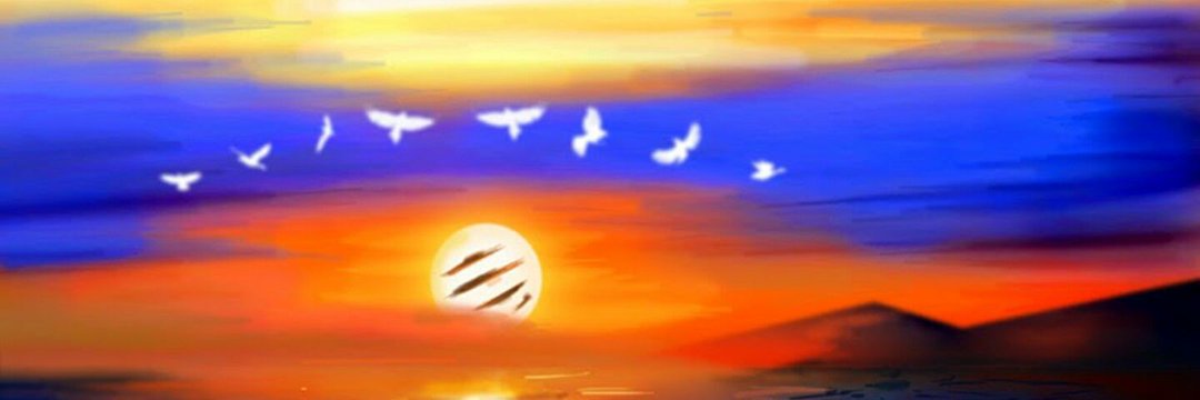 l_berutti's profile banner image