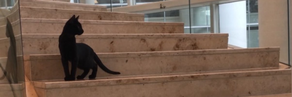 hallaxwaja's profile banner image