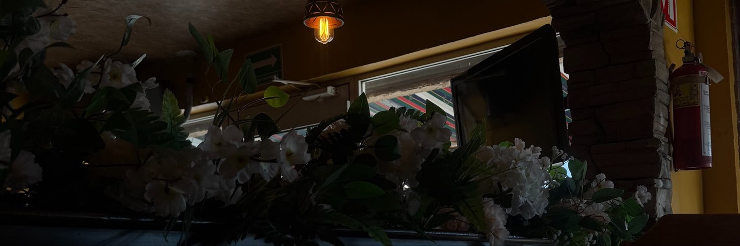 alevnhartz's profile banner image