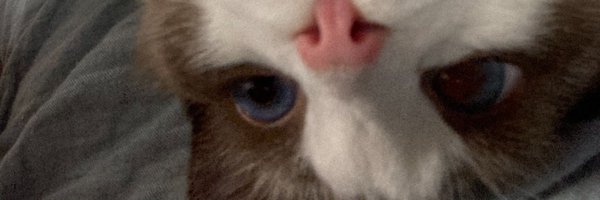 Rayiizzz Profile Banner