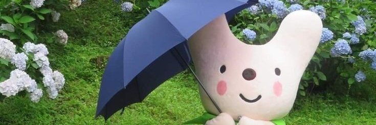Nintentoad2's profile banner image