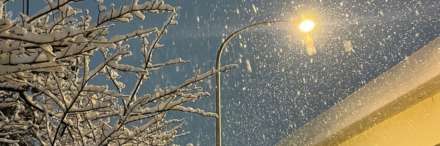 BECKCUT's profile banner image