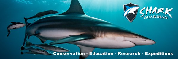 Shark_Guardian Profile Banner