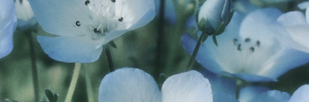 さとう banner