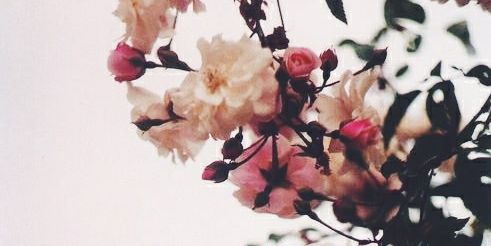 sharonoosterik's profile banner image