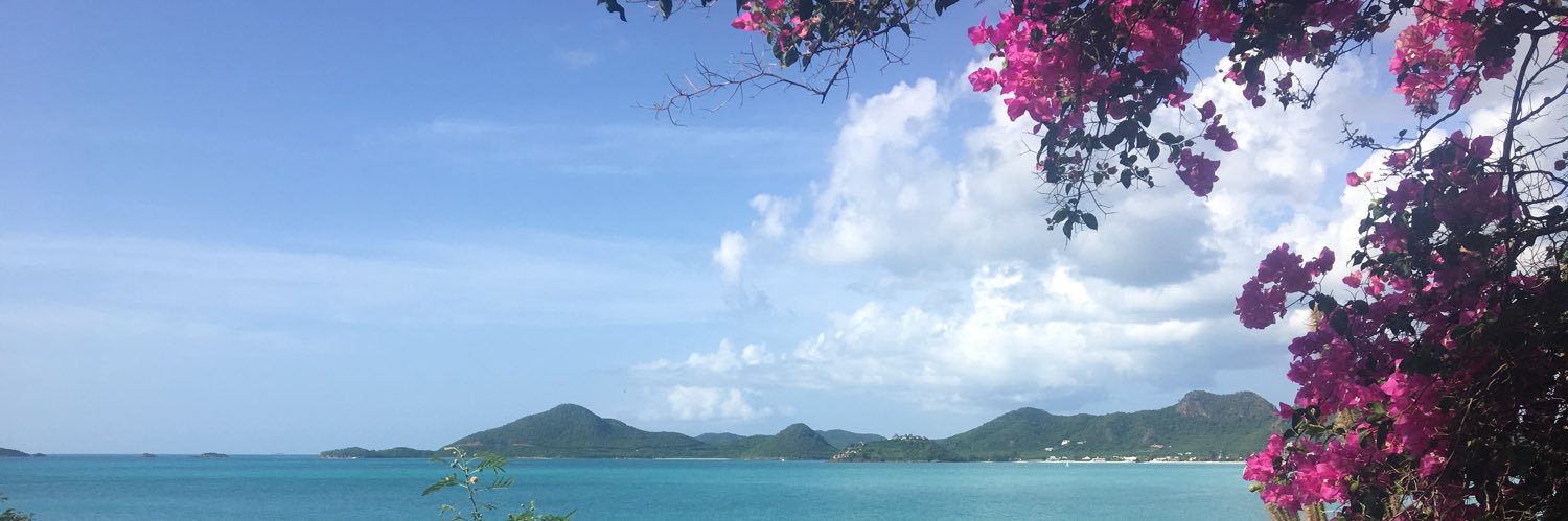 MaryAliceSJ's profile banner image