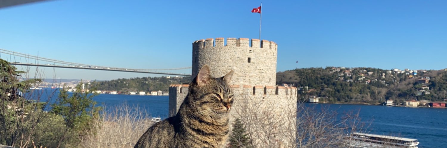 aycemka's profile banner image