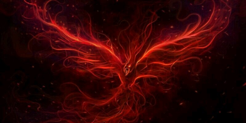 Rider_Phoenix's profile banner image