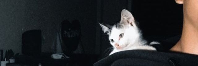 Rocket2TheSky's profile banner image