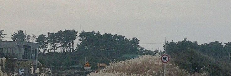 @Rest banner
