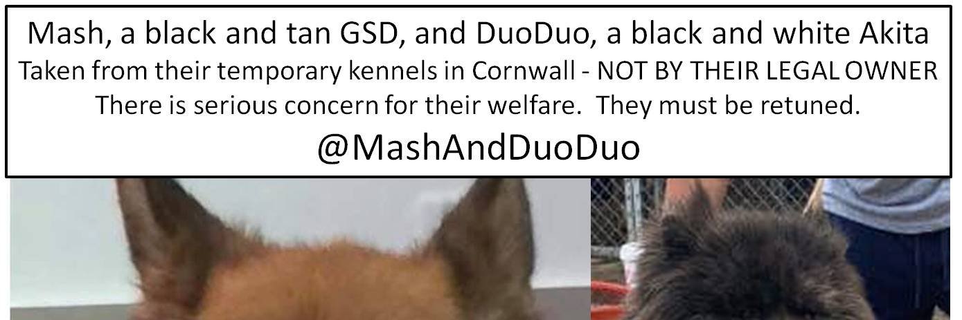MashAndDuoDuo's profile banner image