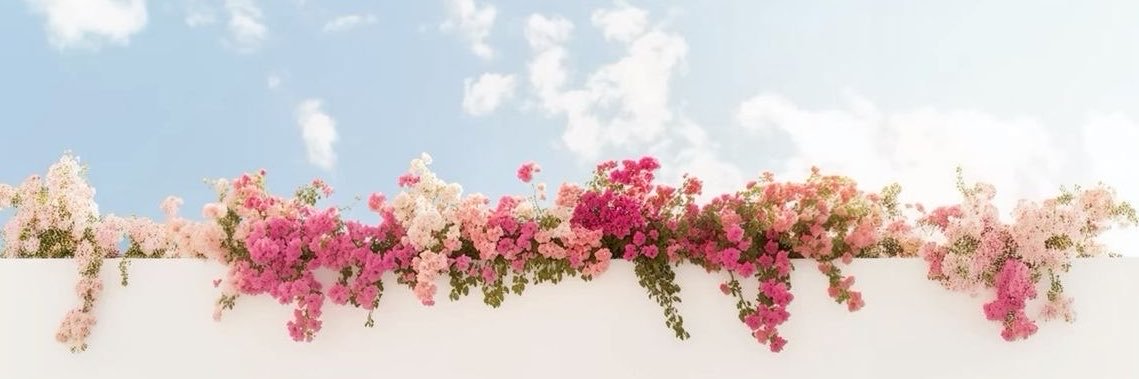 Mayfahads's profile banner image