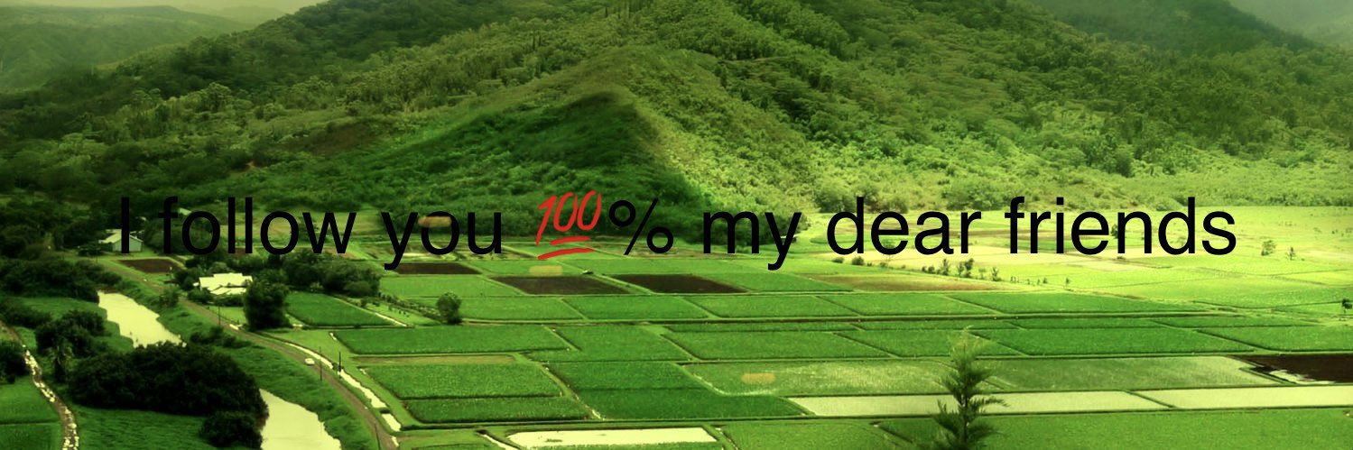 My name is khan banner