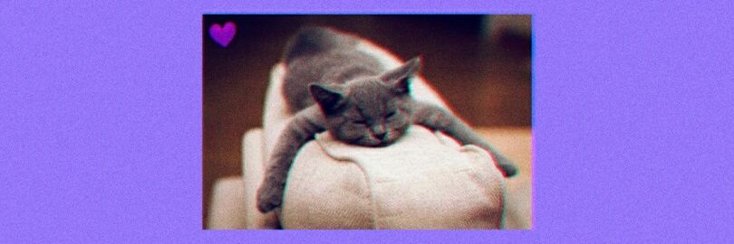 สมายด์.🥀 banner