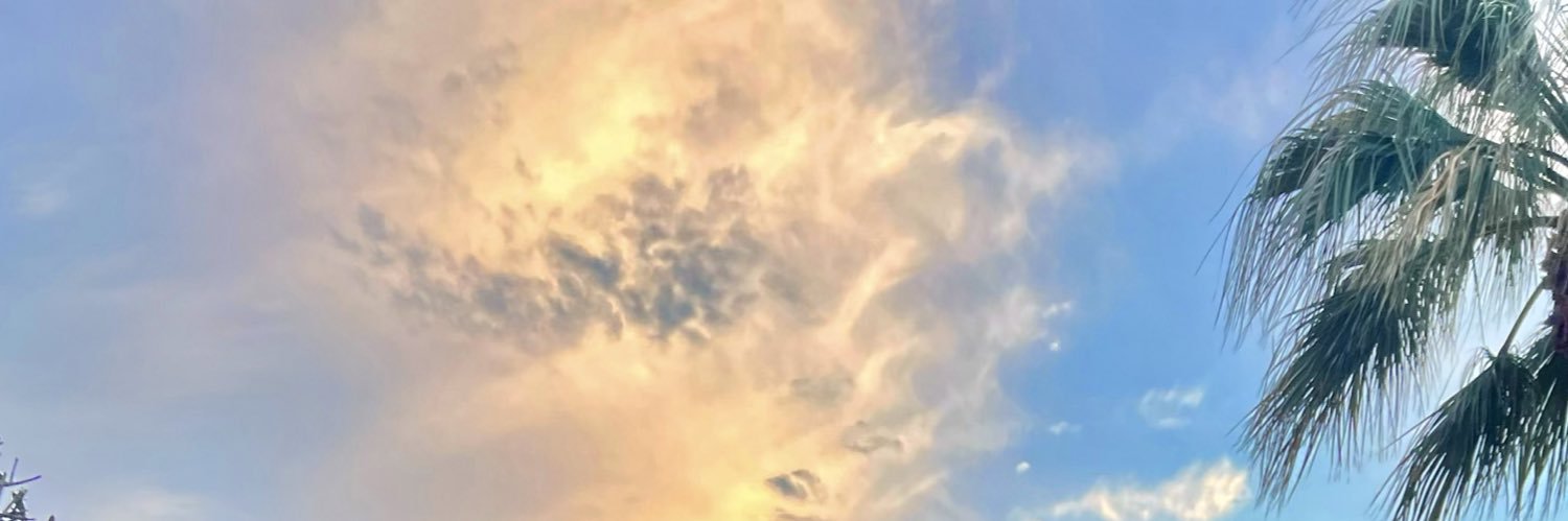 EceTemiz's profile banner image