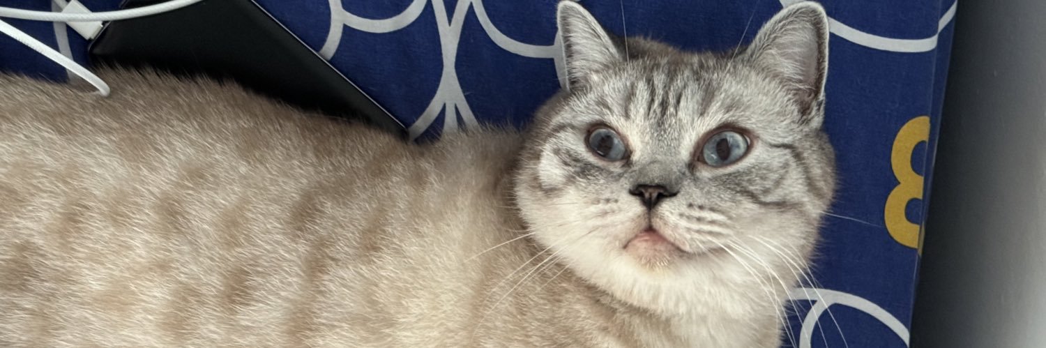 sh🐾 banner