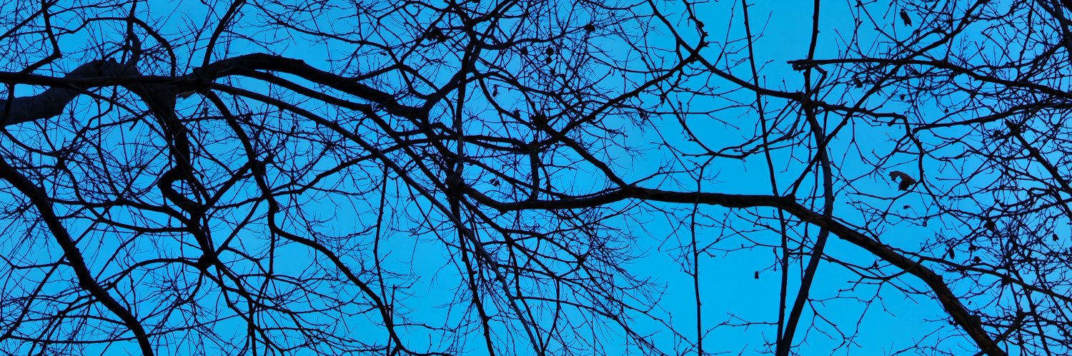 cherryshsh1's profile banner image