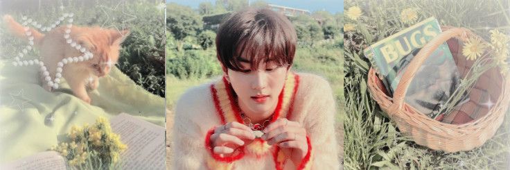 🌱 Yuri ⋆. vai ver o Enhypen banner