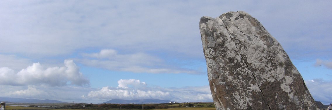 Vox Hiberionacum banner