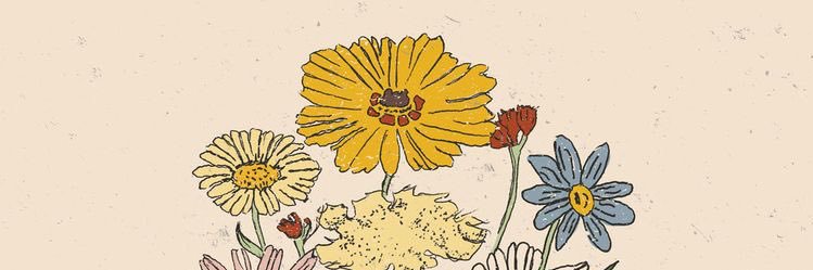 DlORlST's profile banner image