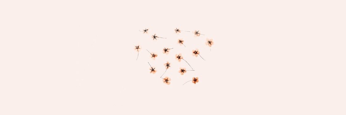 daniellemarhee's profile banner image