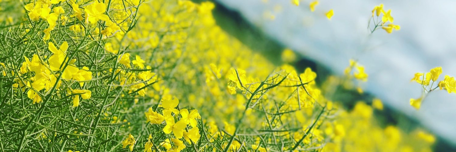 326400458's profile banner image