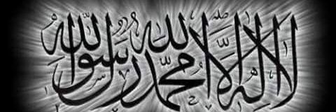 Double---Malams banner