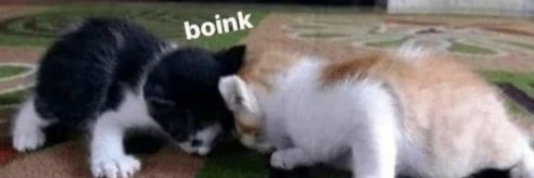 Femyboo_'s profile banner image