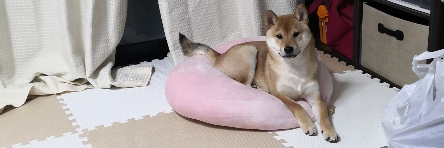 asopyui's profile banner image