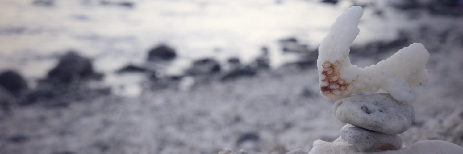 紐斯 banner