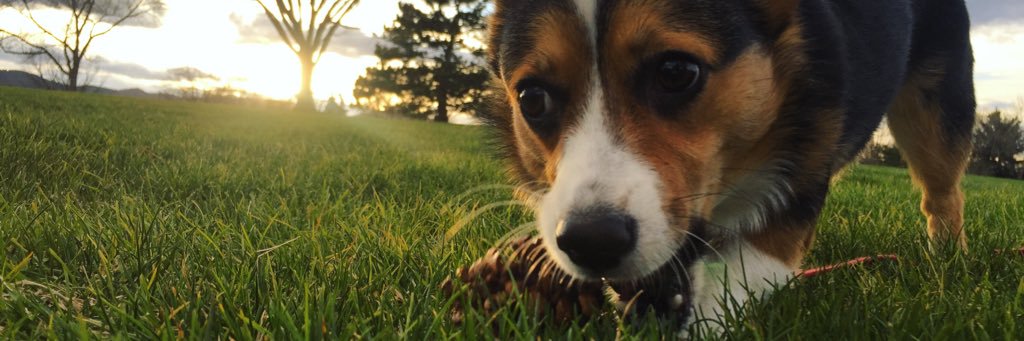 haleymm13's profile banner image
