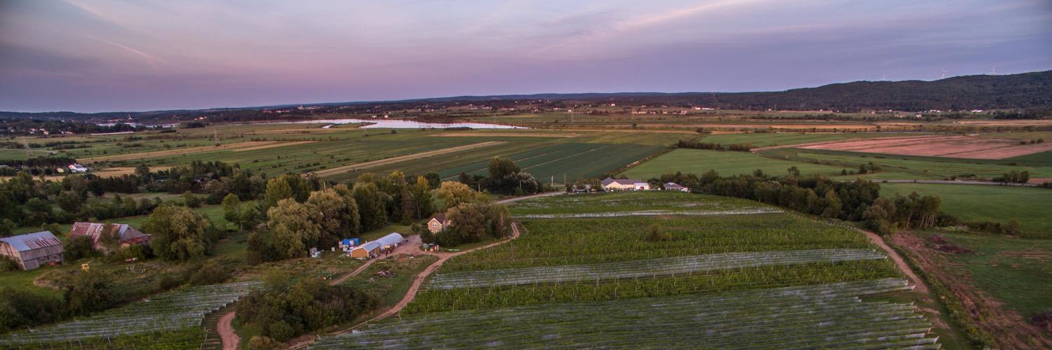 SainteWines's profile banner image