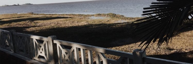 ManuMusculo's profile banner image