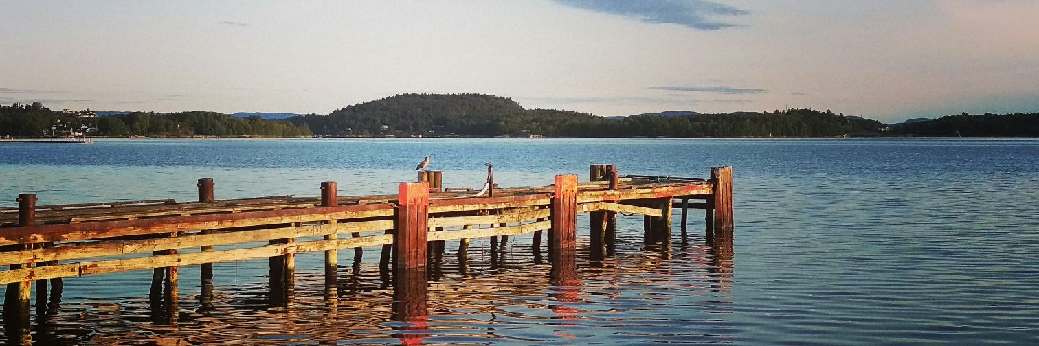 James Matthews banner