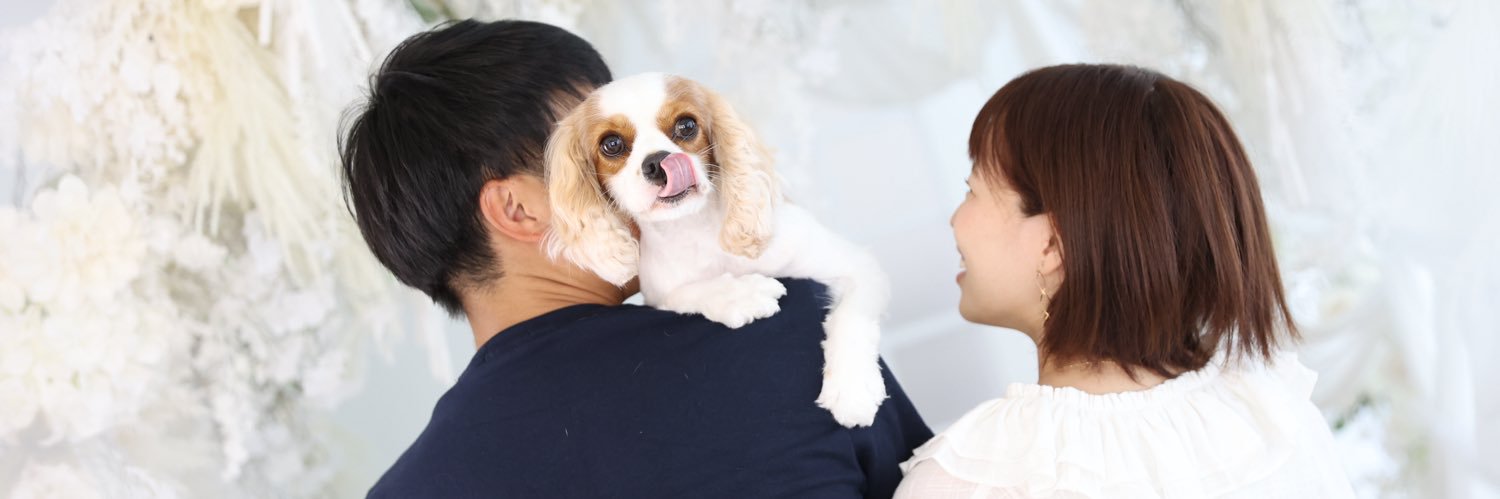 u_vuijpi's profile banner image