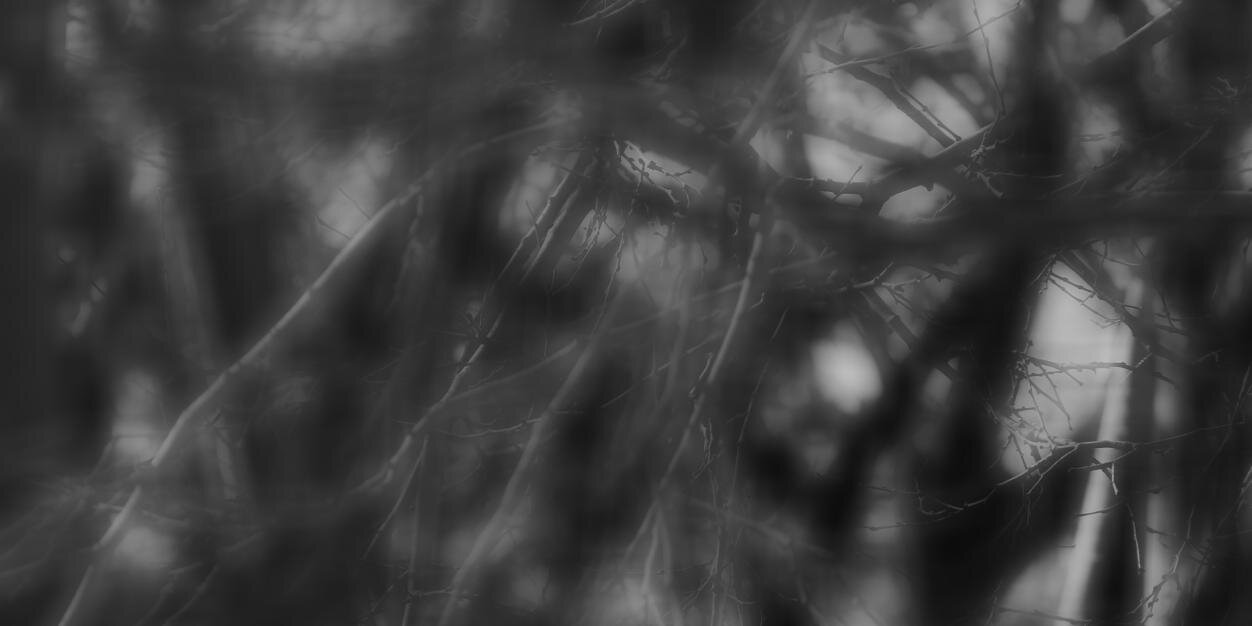 Mehmet Turgay AKALIN banner